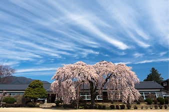 写真：杵原学校